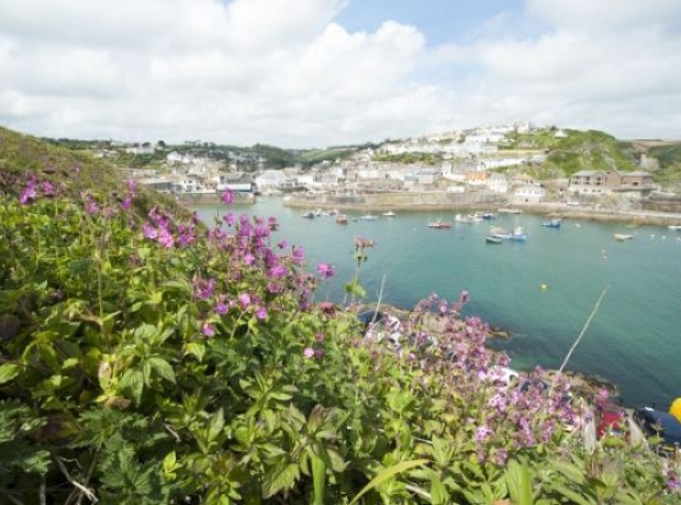 The beautiful Cornish countryside and coastline on our doorsetp
