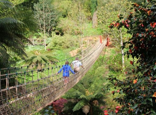 A woodland rope bridge - one of the many things to do nearby to Heligan Woods