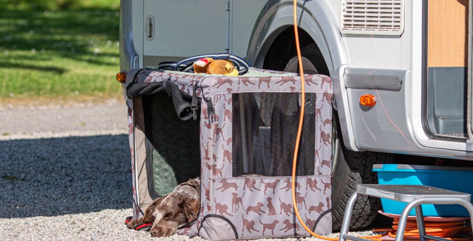 Dog friendly camping and touring pitches